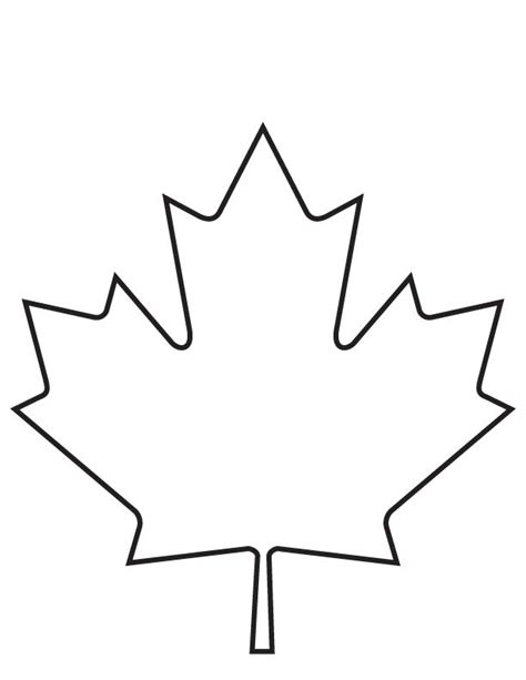 Japanese Maple Leaf Drawing at GetDrawings Free download