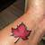 Maple Leaf Tattoo