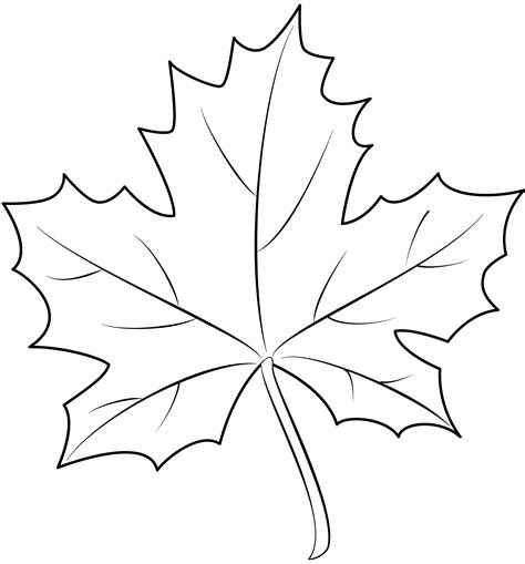 Maple Leaf Template Printable