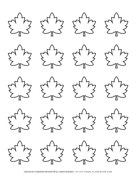 Maple Leaves Template