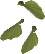 Maple seed - OSRS Wiki
