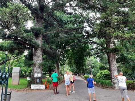 Maputo tour tips