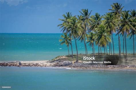 Maracajau Brazil Beach