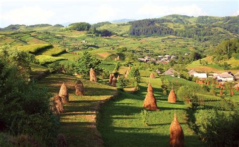 Maramures countryside