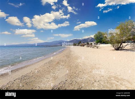 Marathon Attica Greece