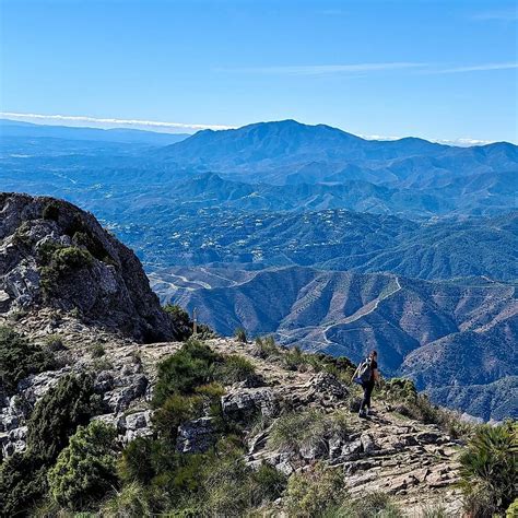 Marbella Hiking & Foraging Trip Review: Nature’s Bounty