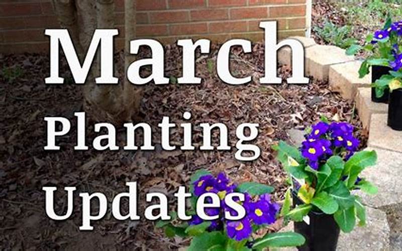 March Planting