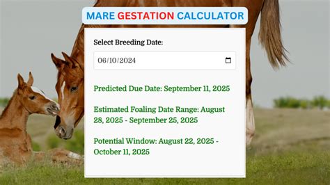 Mare Foaling Calculator