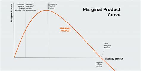 The Untold Story Behind Marginal Product: Unraveling the Economics of Optimal Resource Allocation