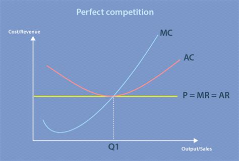 The Elusive Marginal Revenue Curve: Unveiling its Significance in the Perfectly Competitive Market