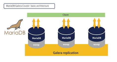 MariaDB Cluster