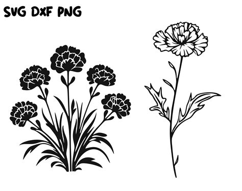 Golden Blossoms in Full Bloom: Unleashing the Potential of Marigold SVG for your Design Needs