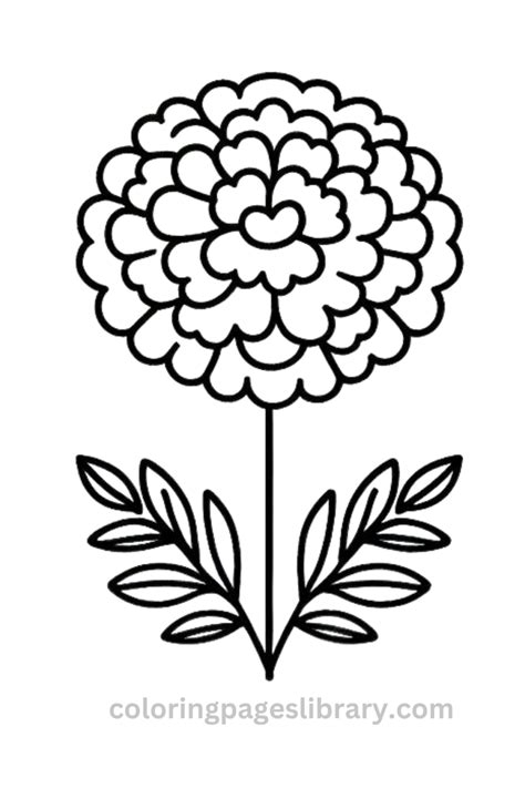Screenshot of Marigold coloring pages printable template
