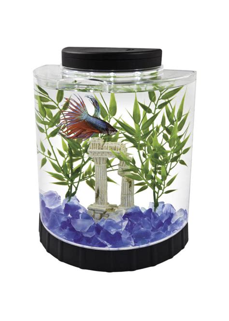 Marine Betta Kit