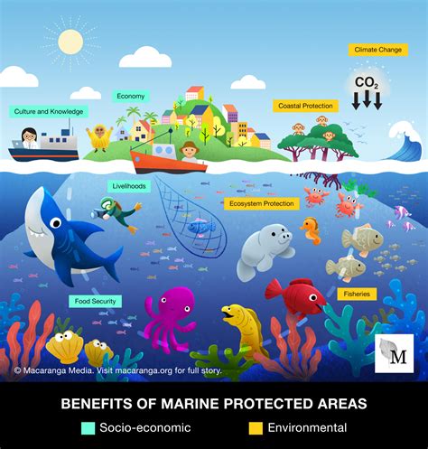 Marine Environment Conservation