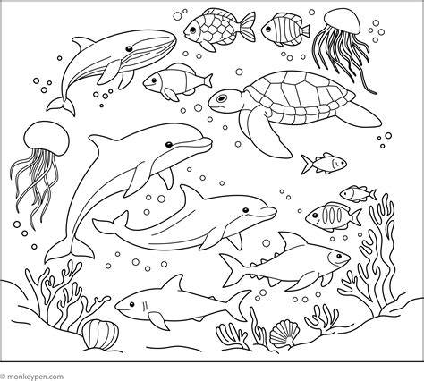 Marine Life Coloring Pages
