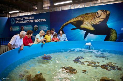 Marine Life Encounter