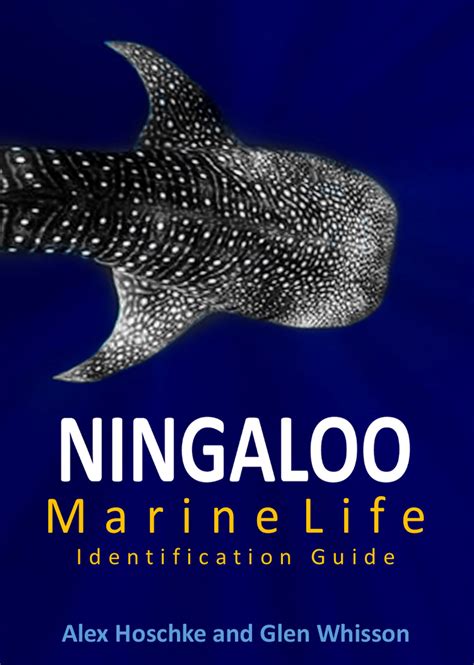 Marine Life at Id Cliffs