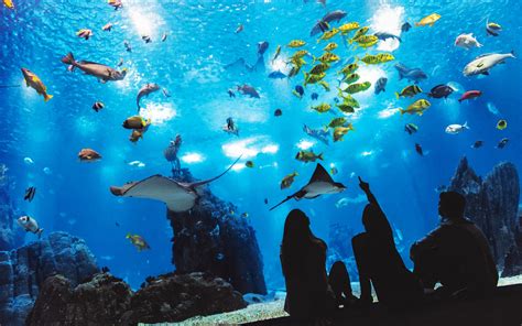 Marine Life Oceanarium