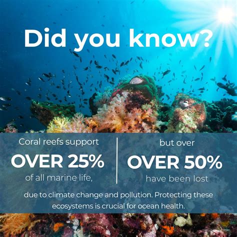 Marine Life ethical