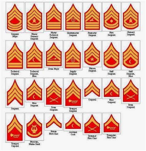 Marine Rank Insignia Chart