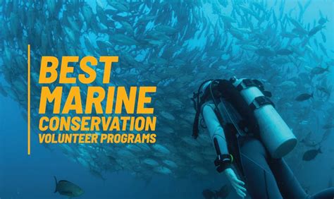 Marine Volunteer Programs