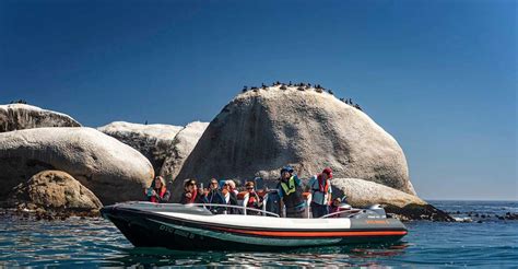 Marine Wildlife Tour Guide