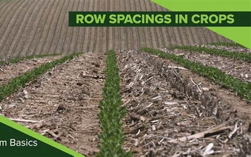 Marking Rows In Crops