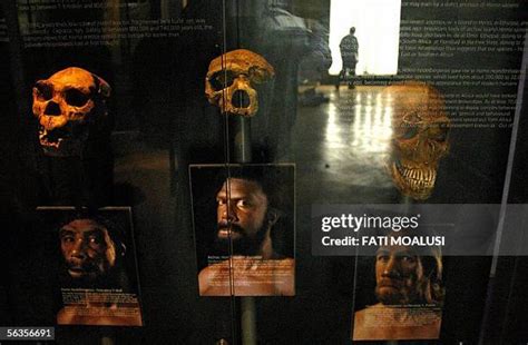 Maropeng Museum