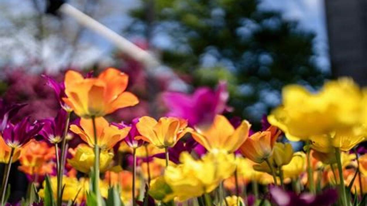 Marquette University Spring Break 2025