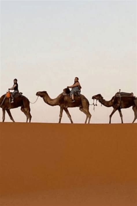 Marrakech Desert Return