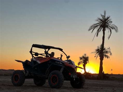 Marrakech Sunset Buggy Tour Review: Palm Grove Adventure