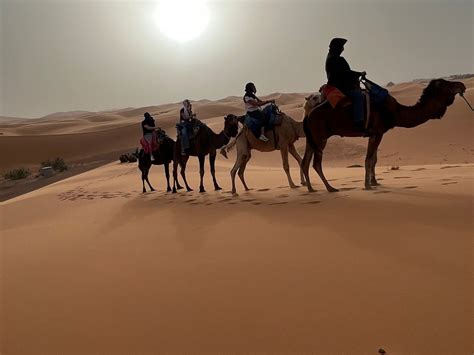 Marrakech Tour Operator