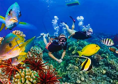 Marsa Alam Elite VIP Snorkeling: Is it Worth the Cost?