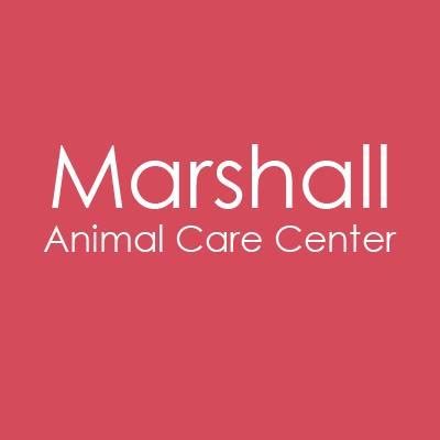 Exceptional Animal Care Services in Marshall, MI - Marshall Animal Care Center