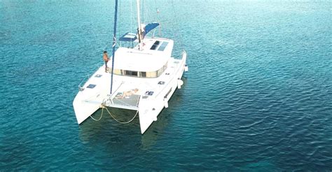 Martinique Dolphin Watching: Review, Tours & Tips