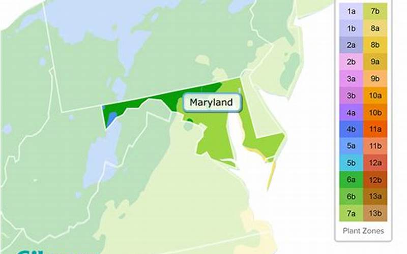 Maryland Planting Zones