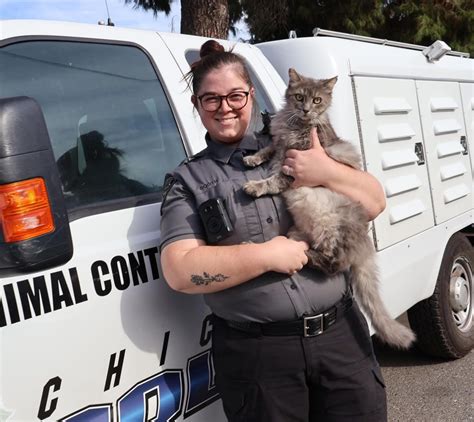 Effective and Reliable Animal Control Services in Marysville, California