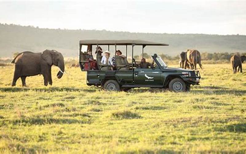 Masai Mara Travel Packages