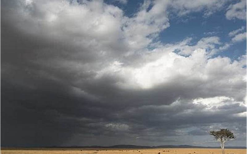 Masai Mara Weather