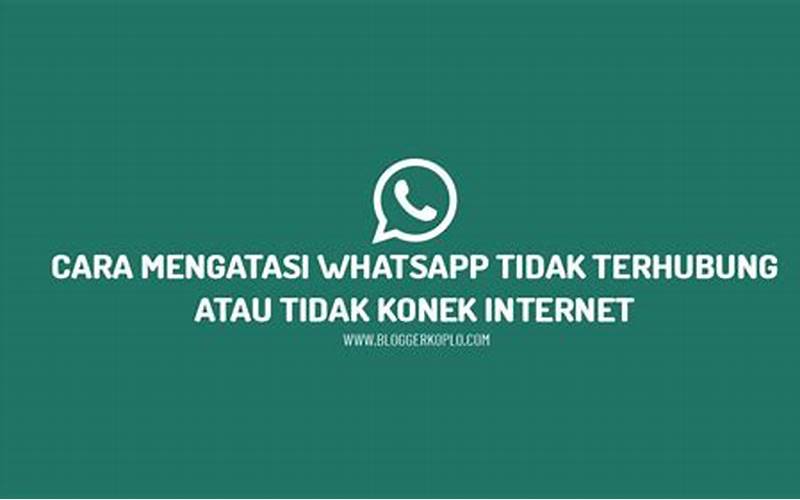 Masalah Koneksi Whatsapp