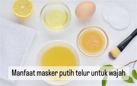 Masker Putih Telur