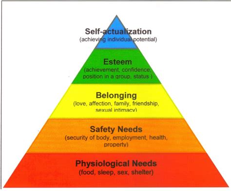 Maslow s Hierarchy Of Needs Practice Test