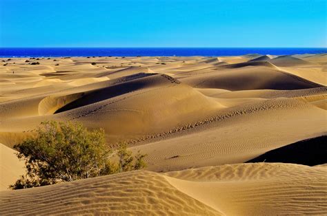 Maspalomas Dunes Photoshoot: A Detailed Review
