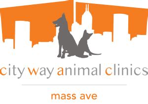 Discover Exceptional Pet Care at Mass Ave Animal Clinic - Indianapolis, IN