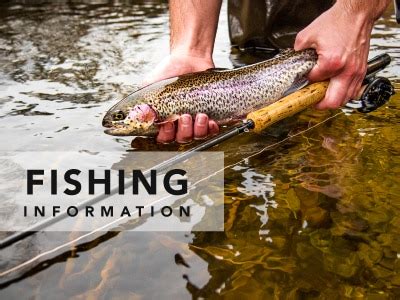 Mass Fish and Wildlife Hunting