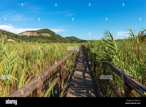 Massaciuccoli Nature Reserve