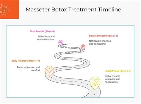 Masseter Botox Timeline