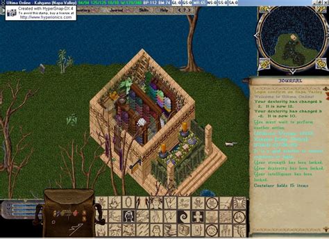 Massively Multiplayer Online Role-Playing Game
