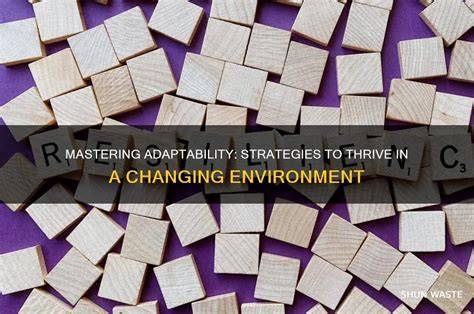 Mastering Adaptability Strategies
